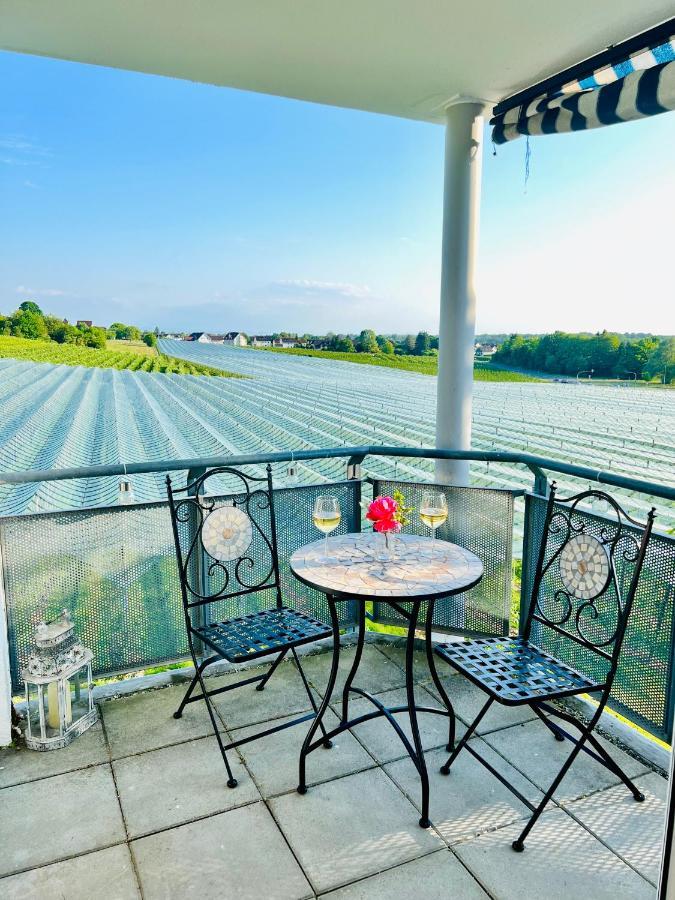 Panorama Domizil Ravensburg Mit Alpenblick Balkon Apartment Exterior photo